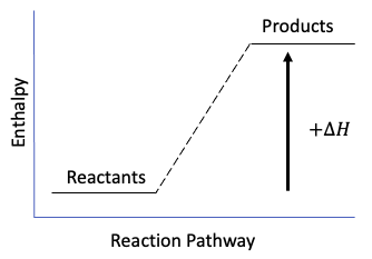Diagrammes d'énergie Enthalpie endothermique StudySmarter