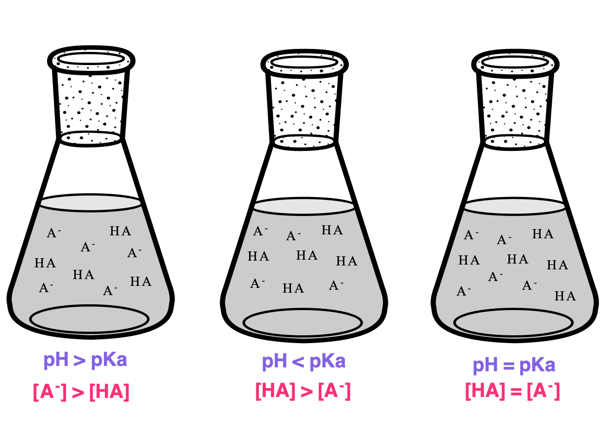 Rango y capacidad tampón Predicción del pH de un tampón Definición de capacidad tampón StudySmarter