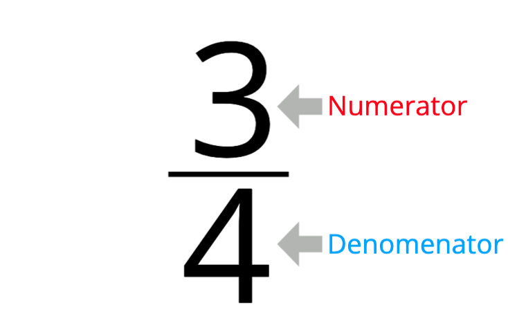Notions de fractions, fraction en tant que quotient, numérateurs et dénominateurs, StudySmarter