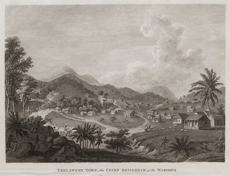 Sociedades Cimarronas Trelawney Town in the Caribbean StudySmarter