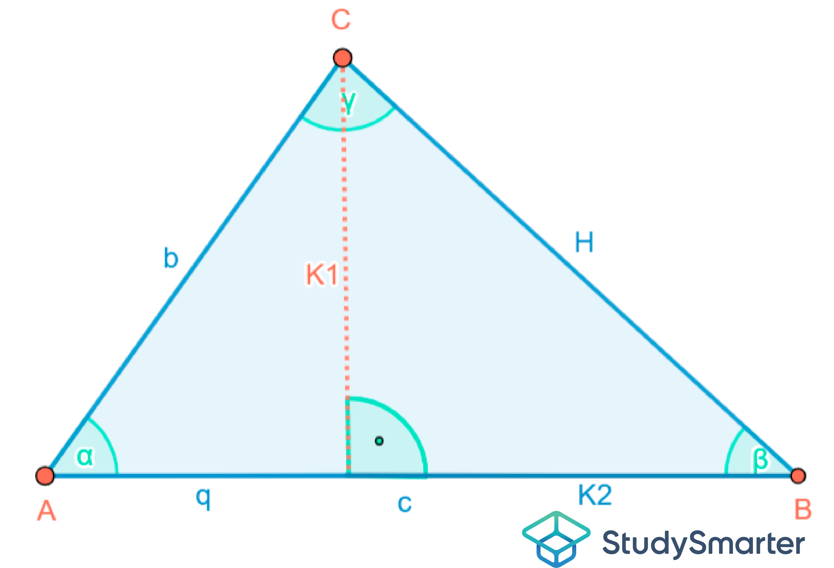 Spitzwinkliges Dreieck Skizze StudySmarter