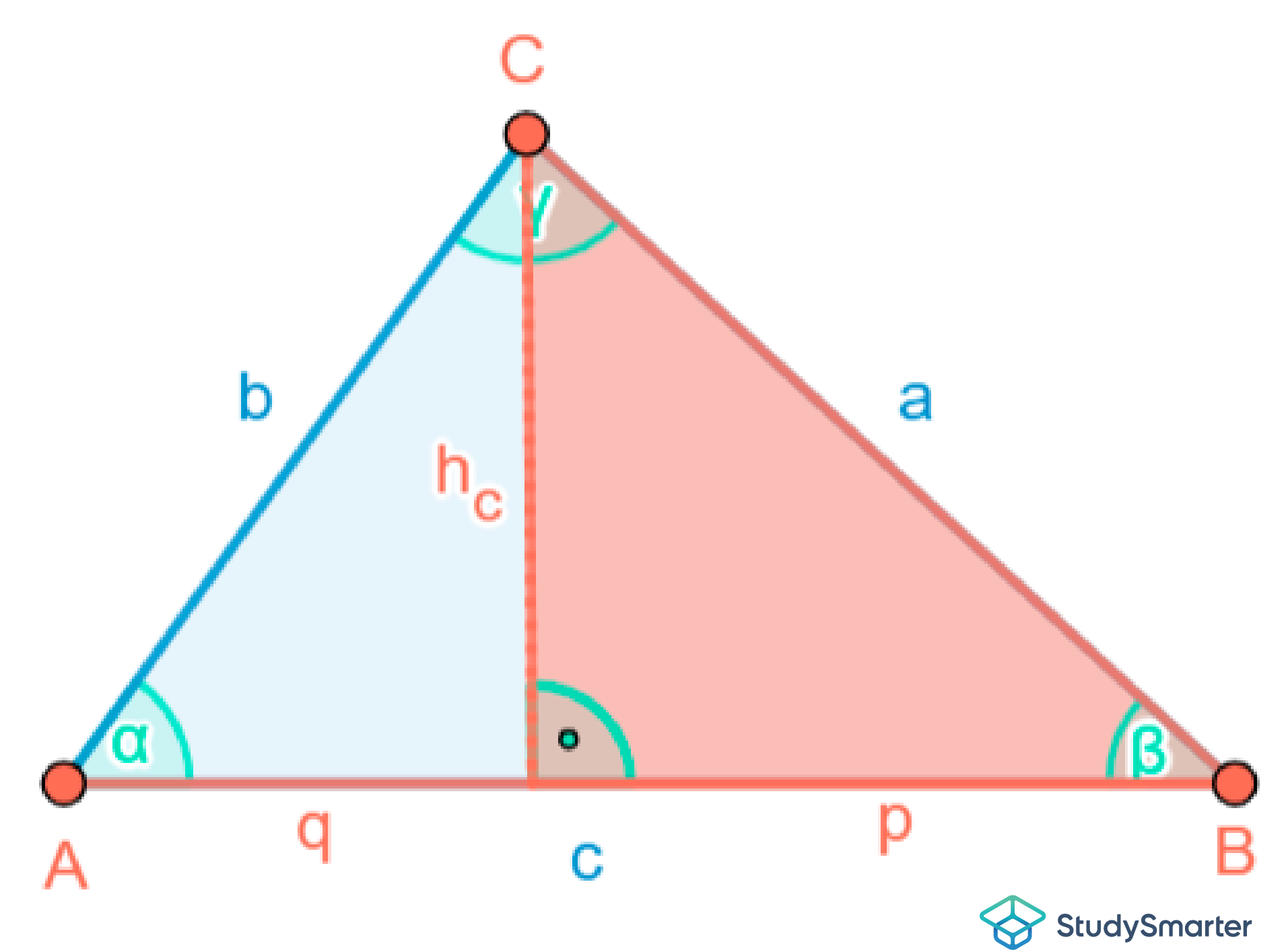 Spitzwinkliges Dreieck Skizze StudySmarter