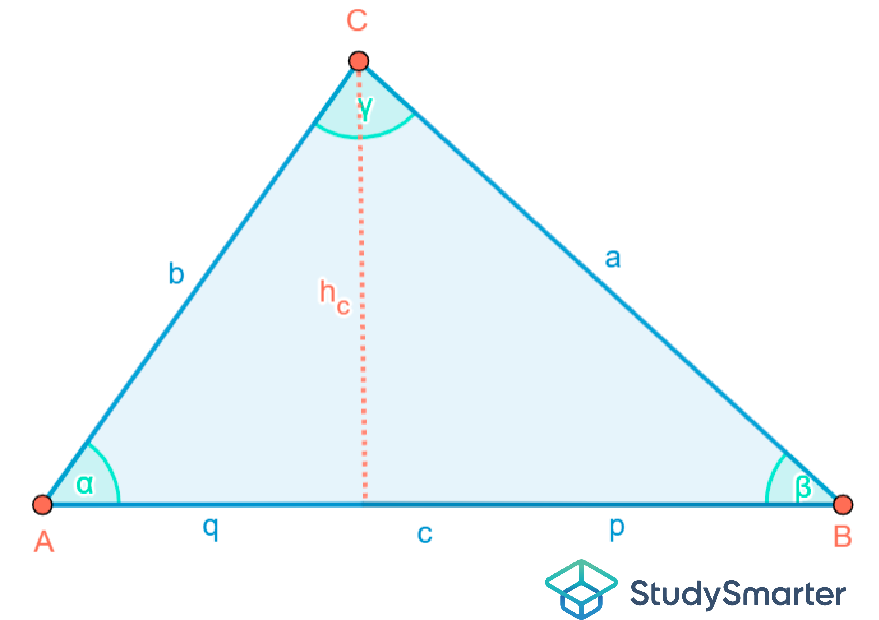 Spitzwinkliges Dreieck Skizze StudySmarter