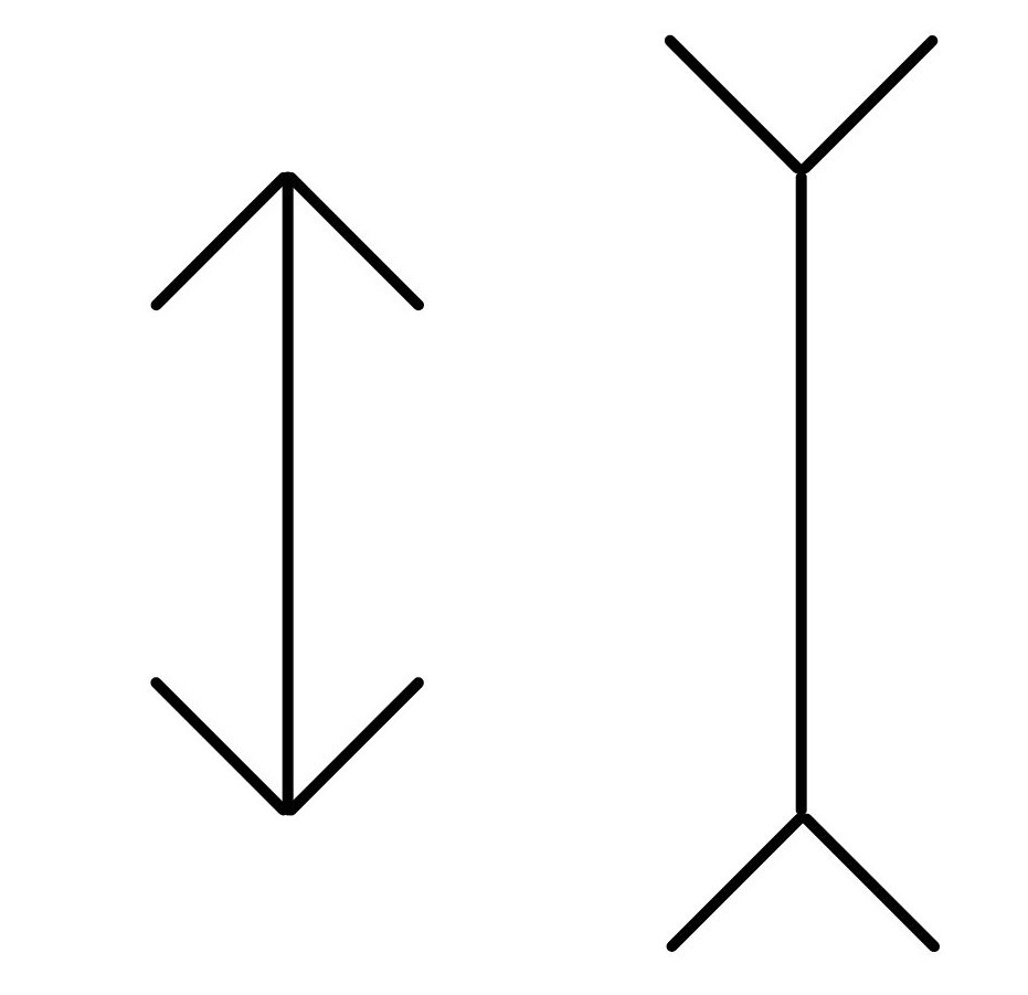 Théorie constructiviste de la perception de Gregory, illusion de Müller-Lyer, StudySmarter