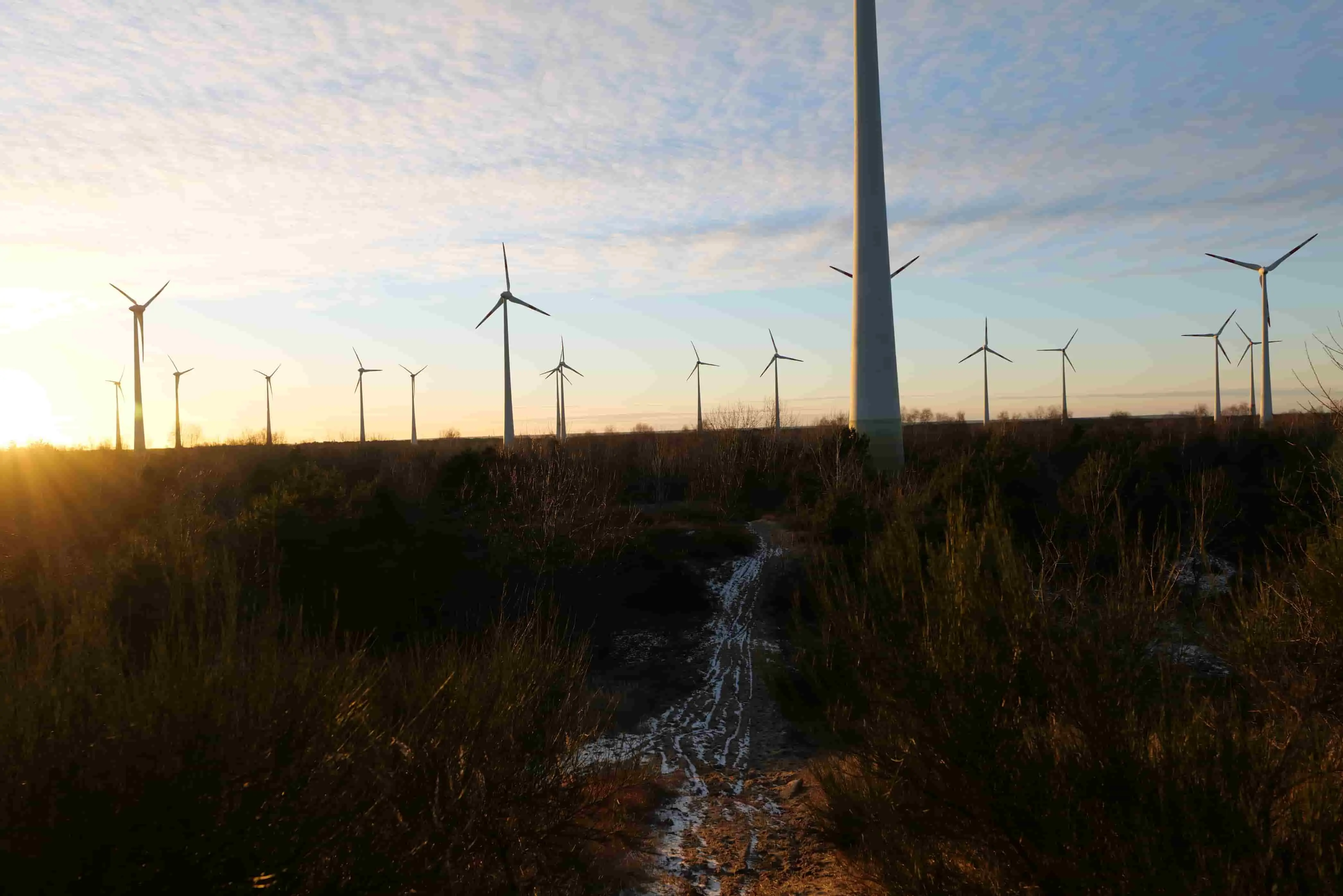 Energy management, Wind turbines in Germany, StudySmarter