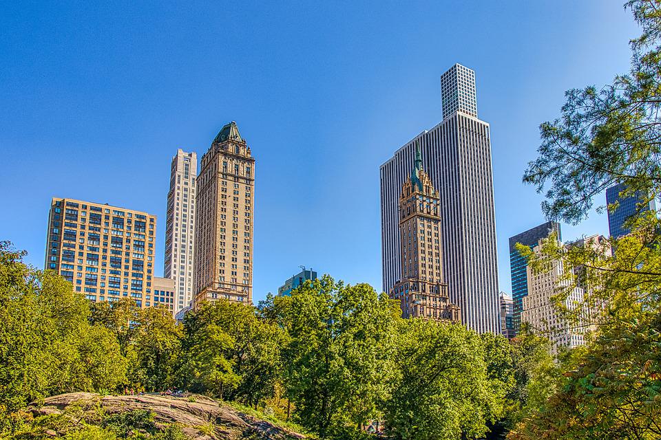 El puente de Nueva York con árboles, StudySmarter