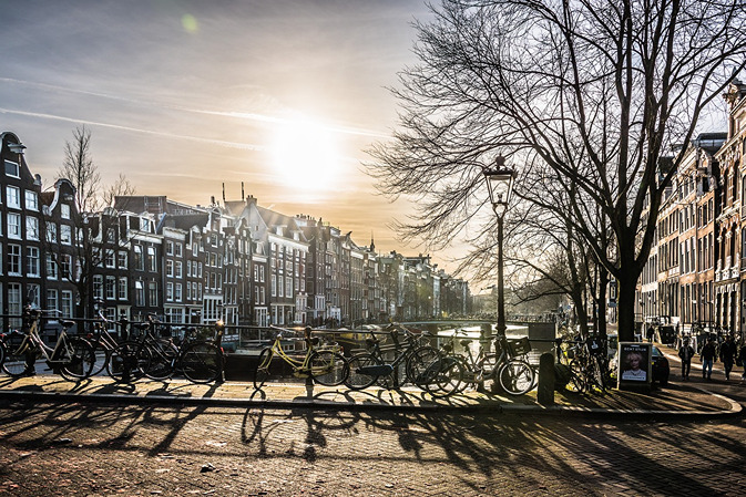 The Fault in our Stars, Amsterdam StudySmarter