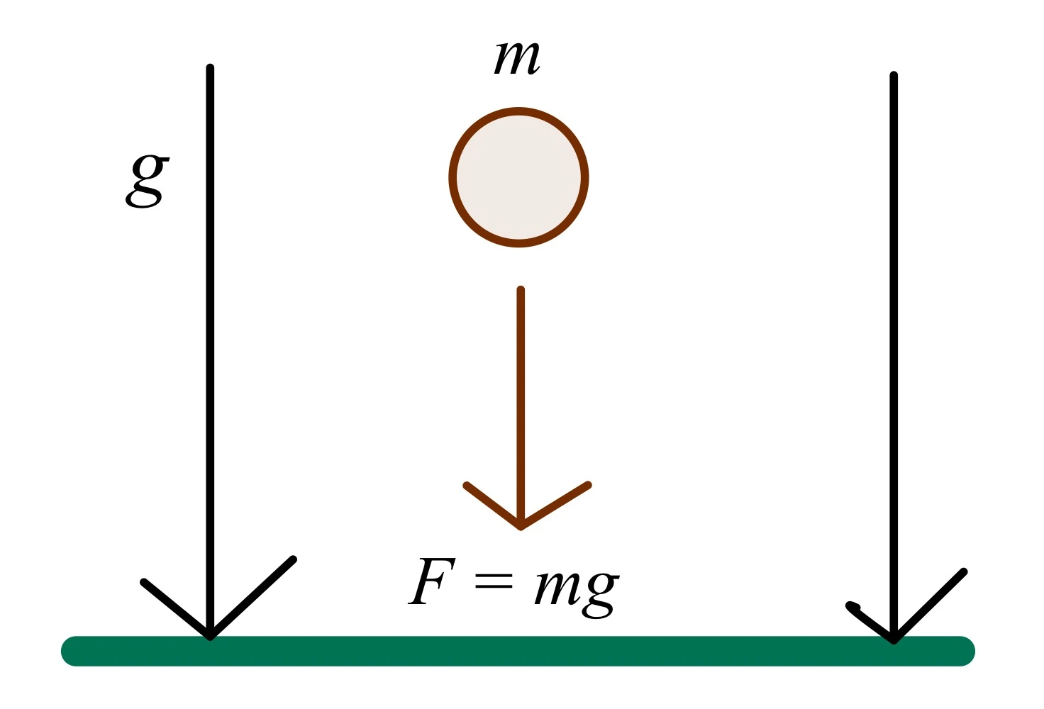Un objet de masse m sous l'influence gravitationnelle de la Terre, Accélération due à la gravité. StudySmarter