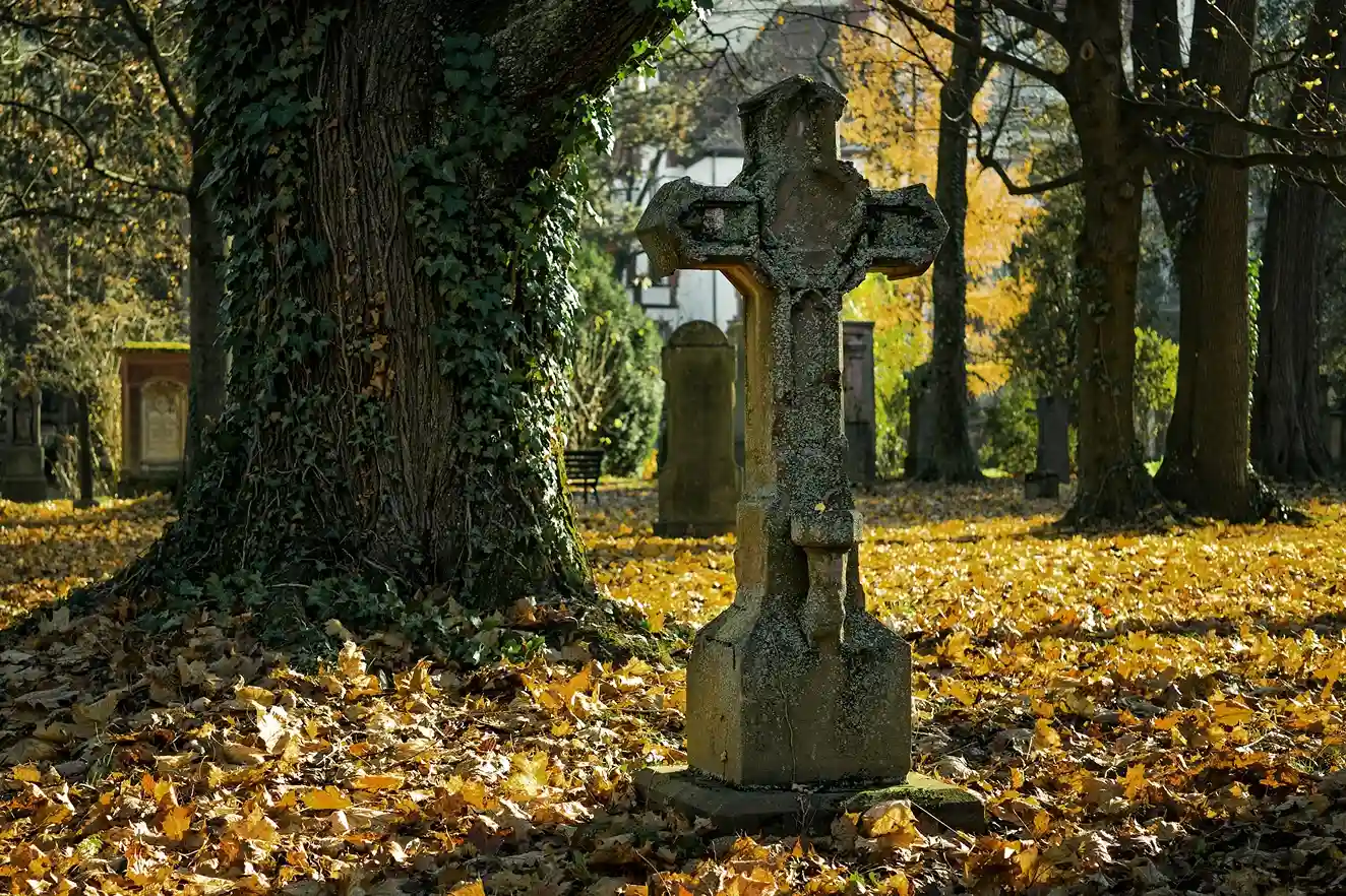 Sic Vita Thoreau, Cementerio Lápida Otoño, StudySmarter