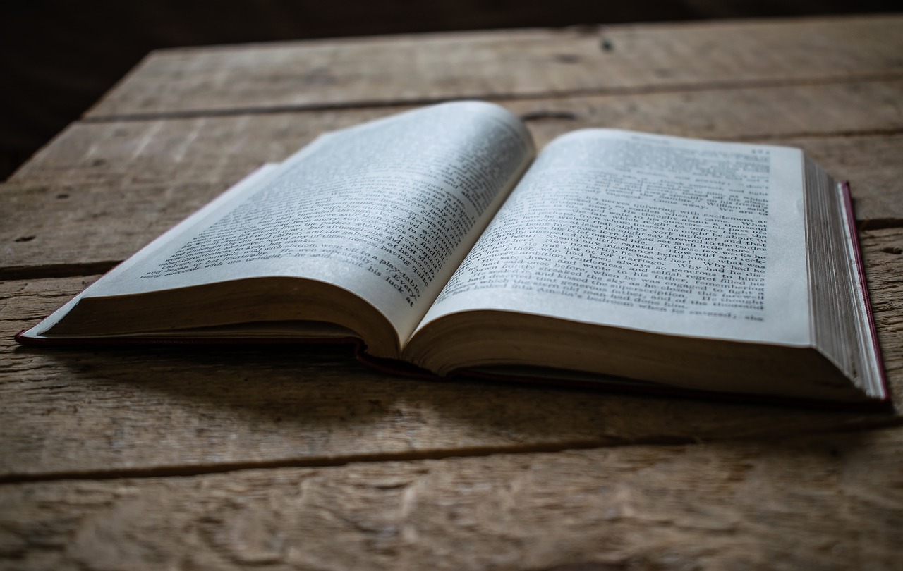 Saul Bellow, open novel, StudySmarter