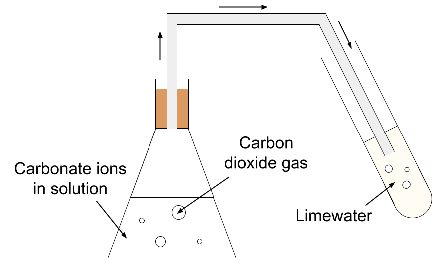 Test pour les anions test de carbonate StudySmarter