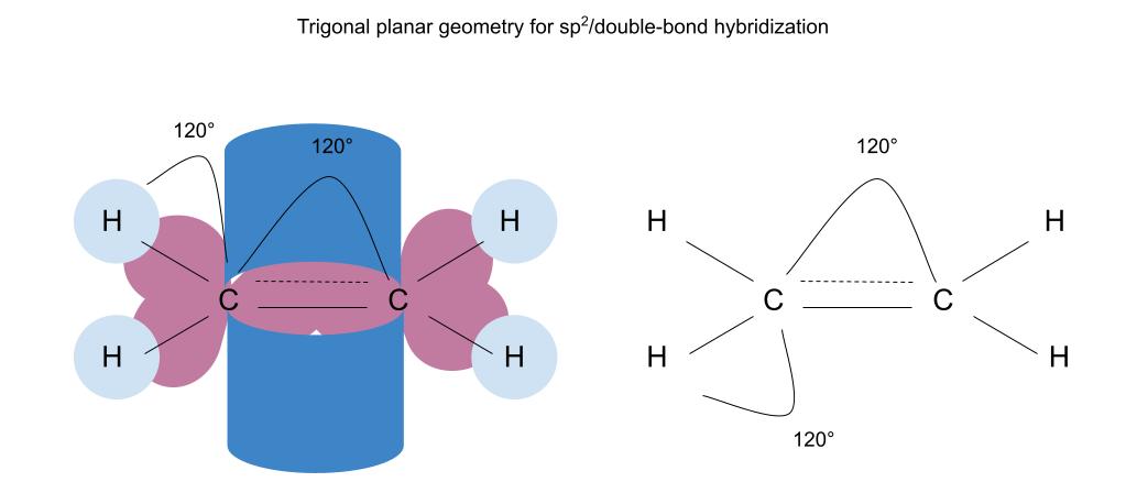 Hybridation des liaisons Géométrie trigonale planaire sp2 StudySmarter