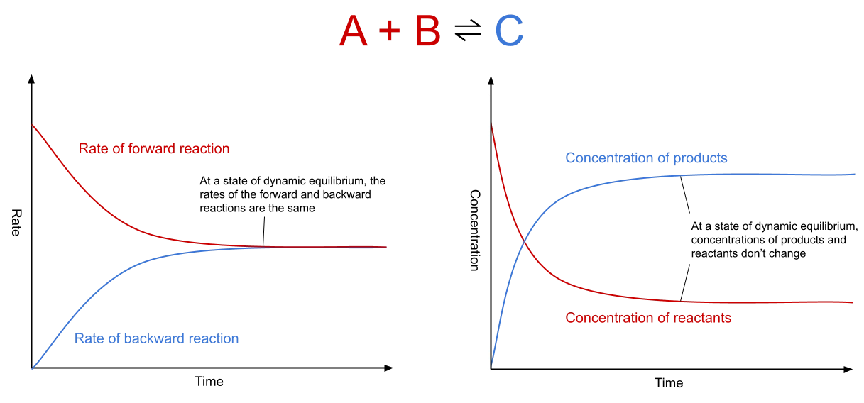 Dynamic Equilibrium graphs showing the rate of reaction and concentration at dynamic equilibrium StudySmarter