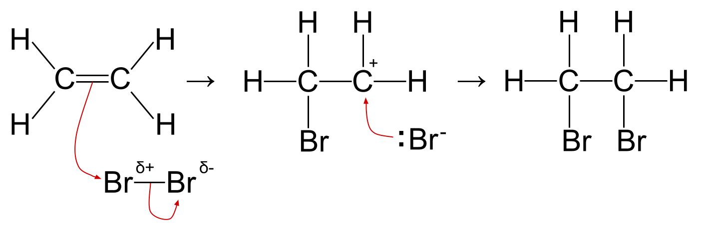 Réactions des alcènes réaction d'addition électrophile br2 mécanisme de l'éthène StudySmarter