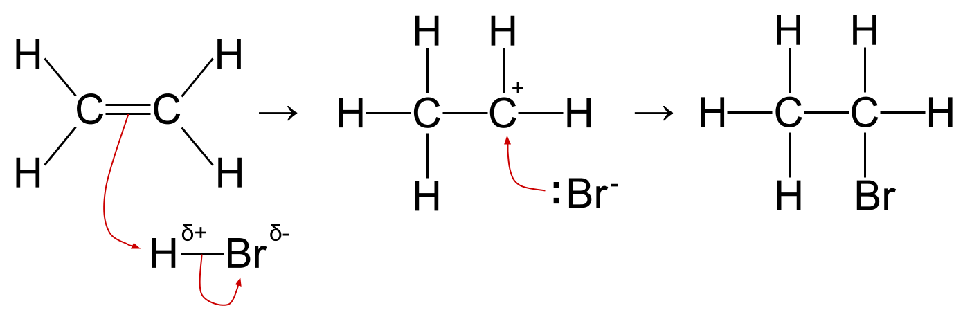 Réactions des alcènes réaction d'addition électrophile HBr mécanisme de l'éthène StudySmarter
