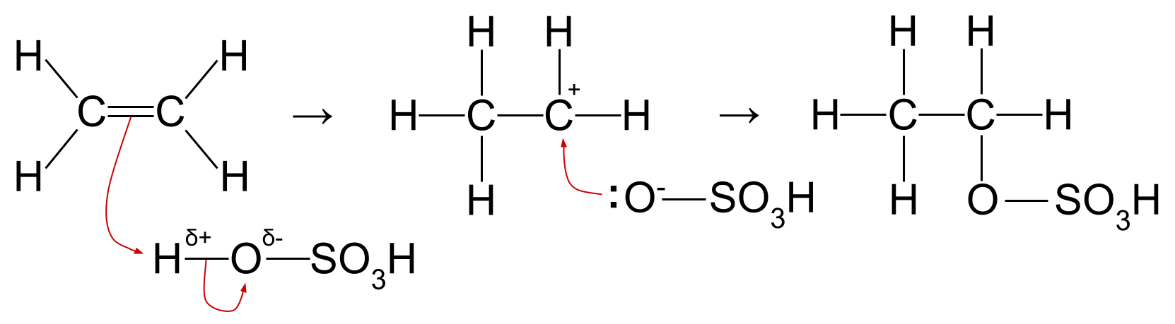 Réactions des alcènes réaction d'addition électrophile acide sulfurique mécanisme de l'éthène StudySmarter