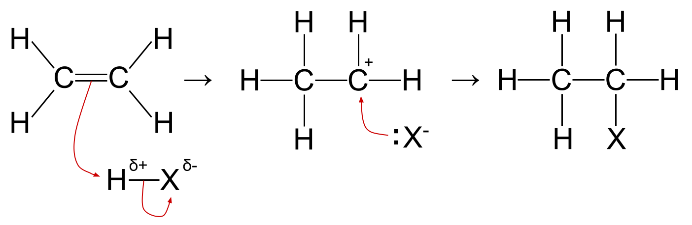 Réactions des alcènes réaction d'addition électrophile mécanisme général StudySmarter