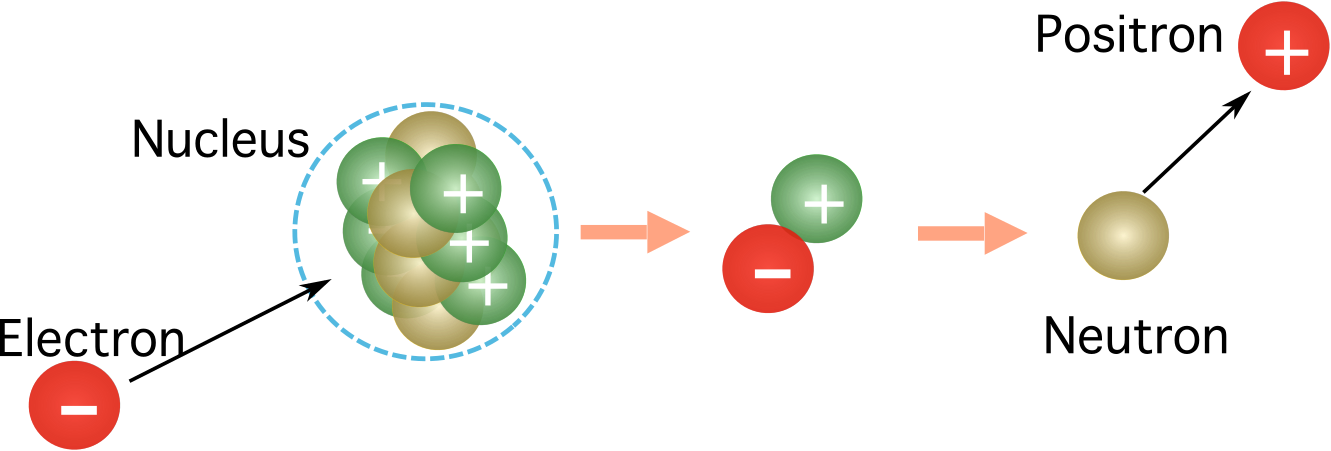Physique des quarks. Processus de capture des électrons. StudySmarter