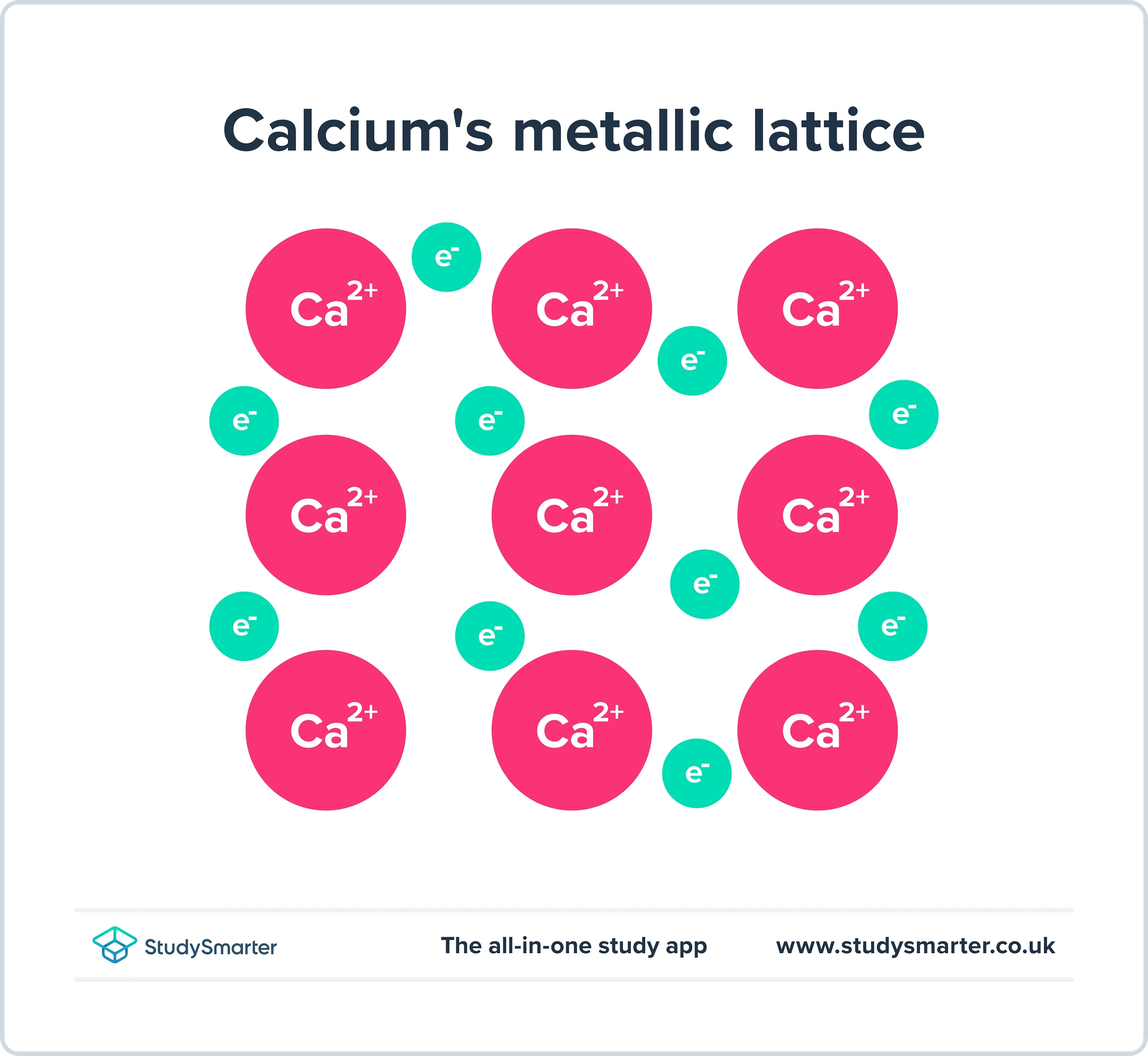 Groupe 2, treillis de calcium, StudySmarter