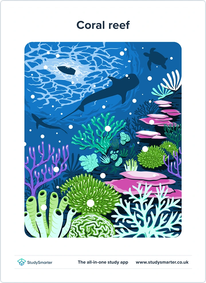 Biodiversity, a coral reef some parts show bleaching zooxanthellae expulsion, symbiotic relationship example, StudySmarter