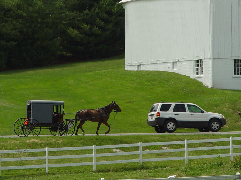 Relocation Diffusion Amish StudySmarter