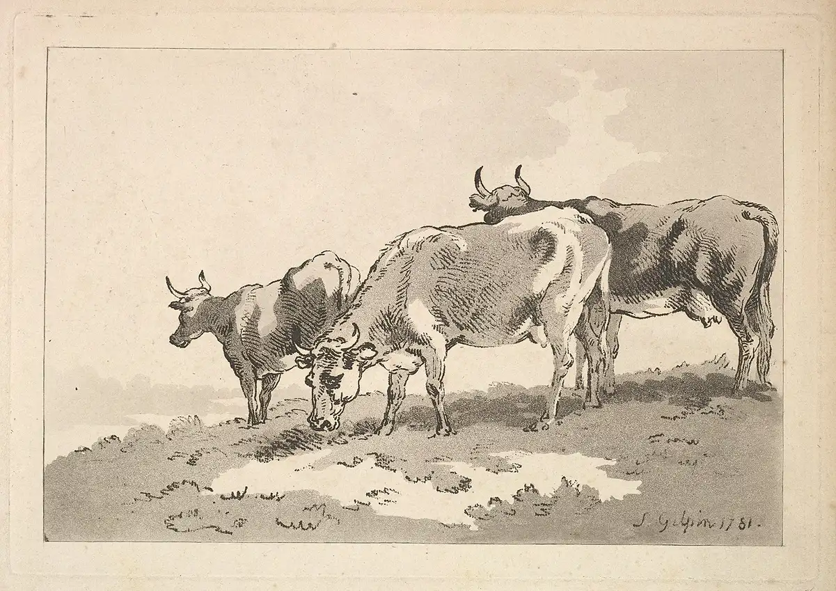 Abecedario Agencias dibujo de tres vacas StudySmarter