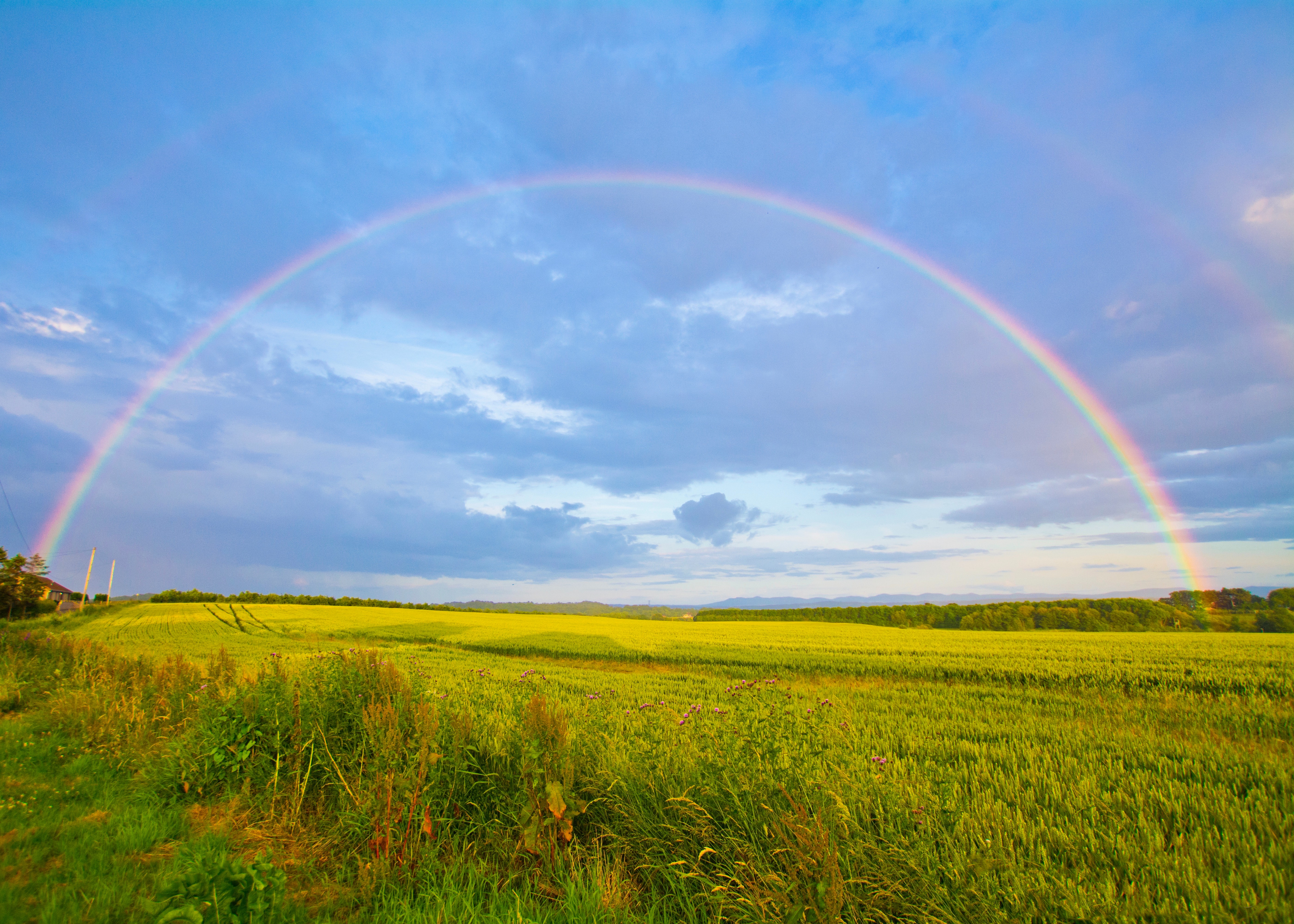 Dispersion Un arc-en-ciel au-dessus d'un champ StudySmarter