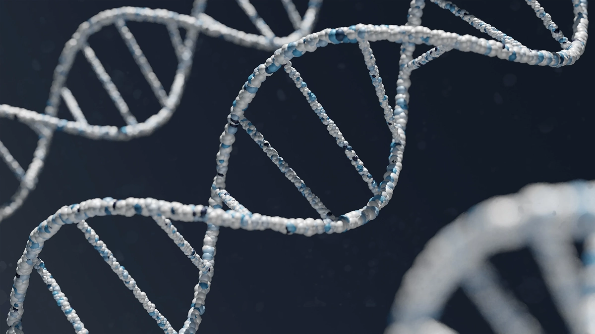 Estructura del ADN Estructura molecular del ADN StudySmarter