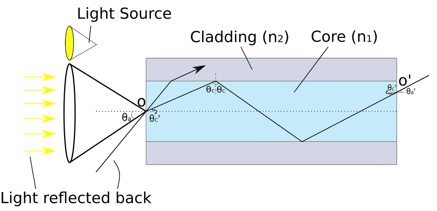Réflexion interne et fibre optique. Intérieur d'un endoscope. StudySmarter