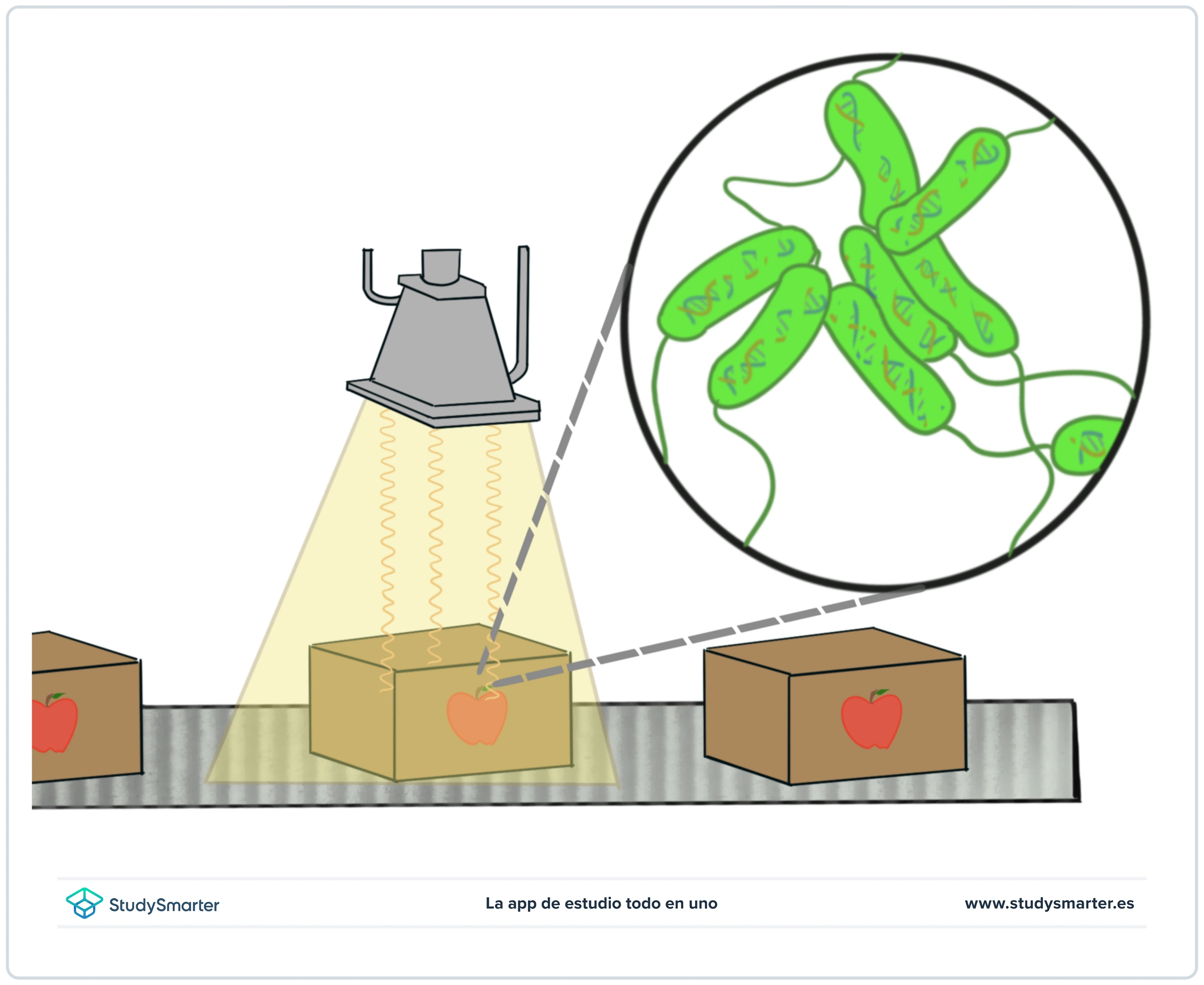 Espectro electromagnético Rayos gamma StudySmarter