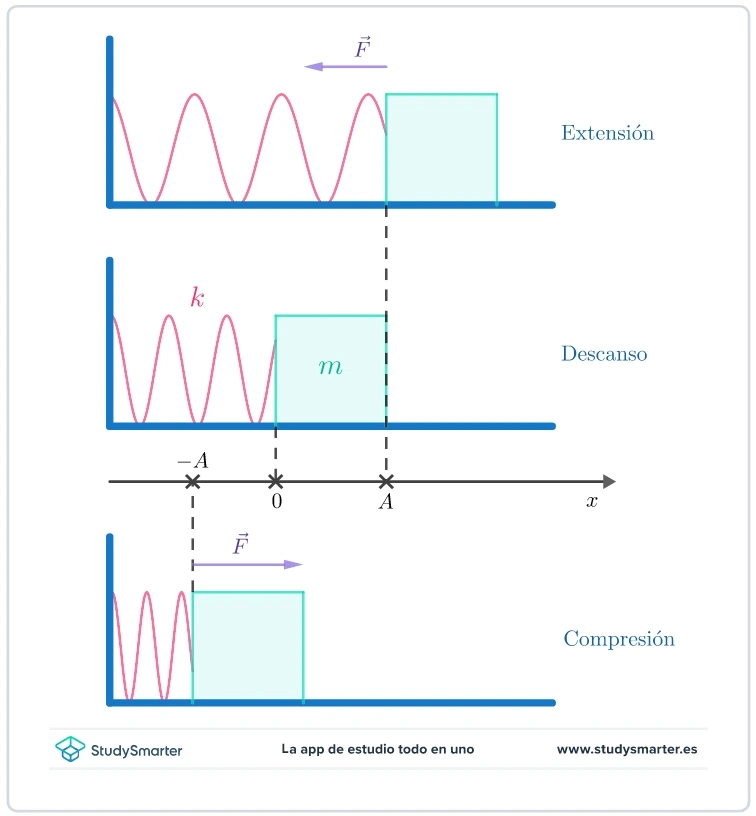 Resonancia Sistema masa-muelle StudySmarter