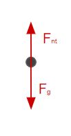 Applications du mouvement circulaire Diagramme du corps libre pour une personne sur la grande roue au sommet avec l'accélération centripète pointant vers le bas StudySmarter