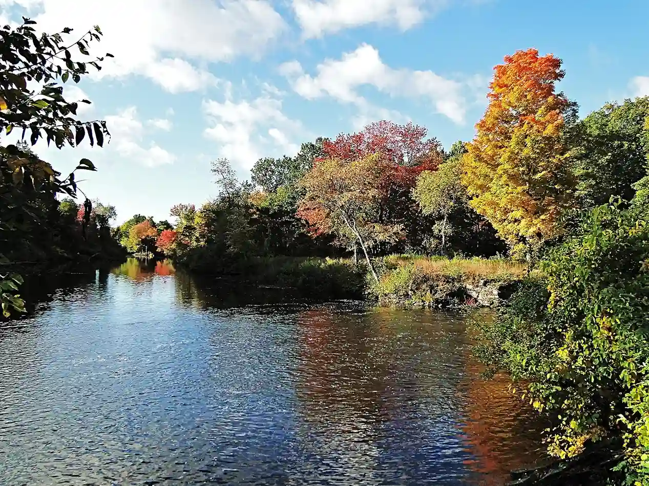 Sic Vita Thoreau, Río de Nueva Inglaterra, StudySmarter