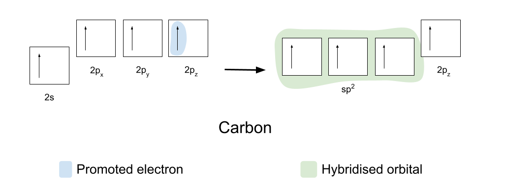 Carbonyl Group carbon hybridised orbitals StudySmarter