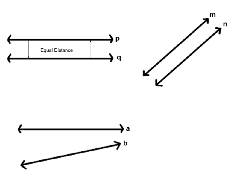 Lignes parallèles, exemples de lignes parallèles, StudySmarter