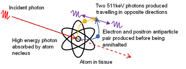 Absorption des rayons X Production de paires Absorption StudySmarter