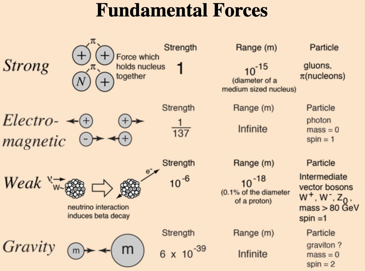 Les forces dans la nature Comparaison des forces fondamentales StudySmarter