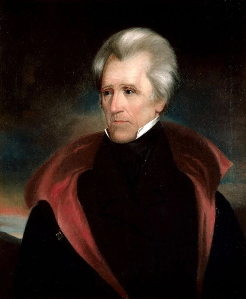 Whig Party President Andrew Jackson StudySmarter