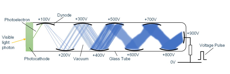 Caméra gamma. Tube photomultiplicateur. StudySmarter