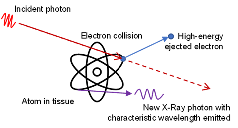 Absorption des rayons X Effet photoélectrique StudySmarter