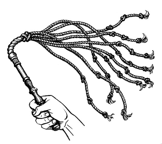 The Magus Whip StudySmarter