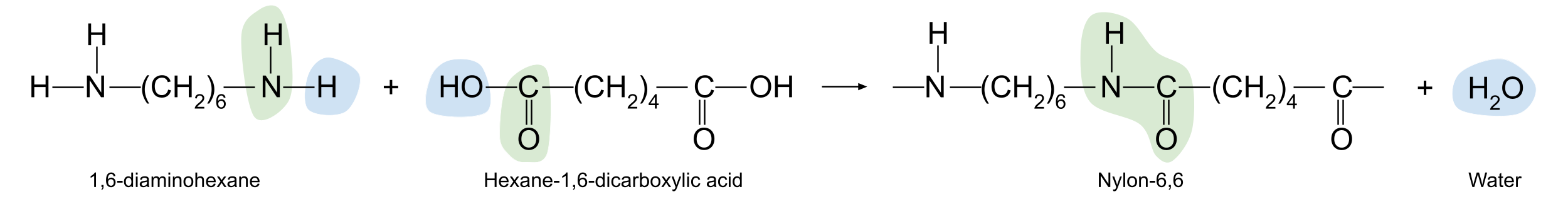 Reacciones de polimerización, Nylon-6,6, StudySmarter