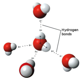 Cálculos de la energía de enlace Enlaces de hidrógeno en el agua StudySmarter