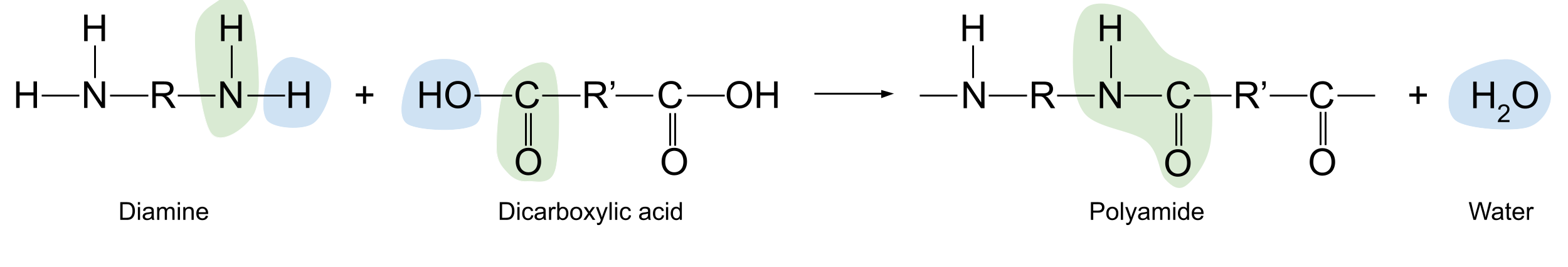 Reacciones de polimerización, reacción de condensación de la poliamida, StudySmarter
