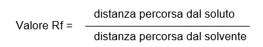 Valore Rf StudySmarter