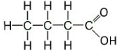 Isomero acido butanoico StudySmarter