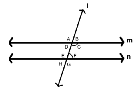 Parallel lines theorem, parallel lines examples, StudySmarter