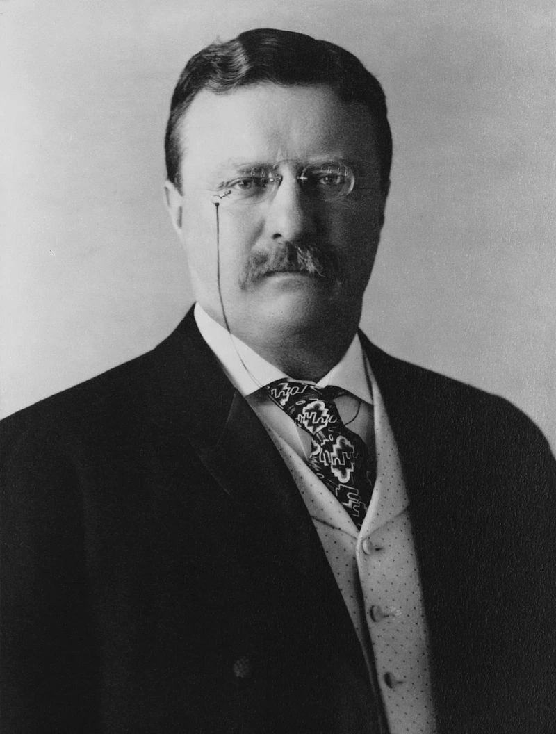 La Era Progresista, Presidente Theodore Roosevelt, StudySmarter