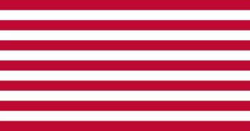 Patriots / The Rebellious Stripes Flag / 91Ó°ÊÓ