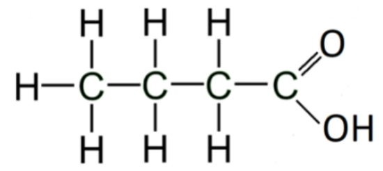 Formula di struttura acido butanoico StudySmarter